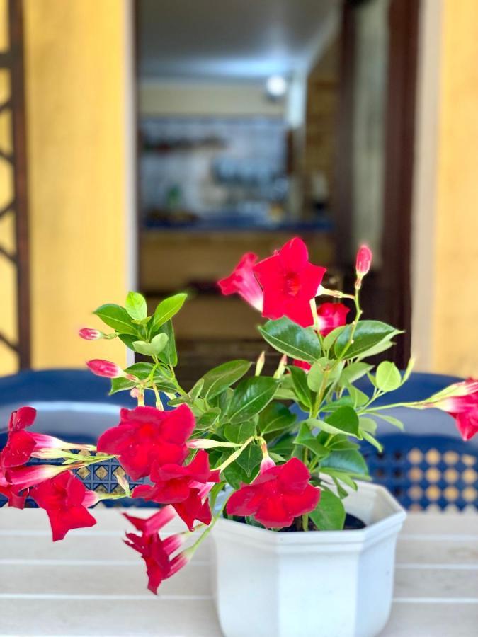 La Casa Dei Bouganville - Lo Stagnone Isole Egadi Marsala Luaran gambar